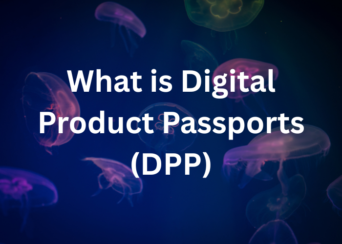 What is Digital Product Passports (DPP)